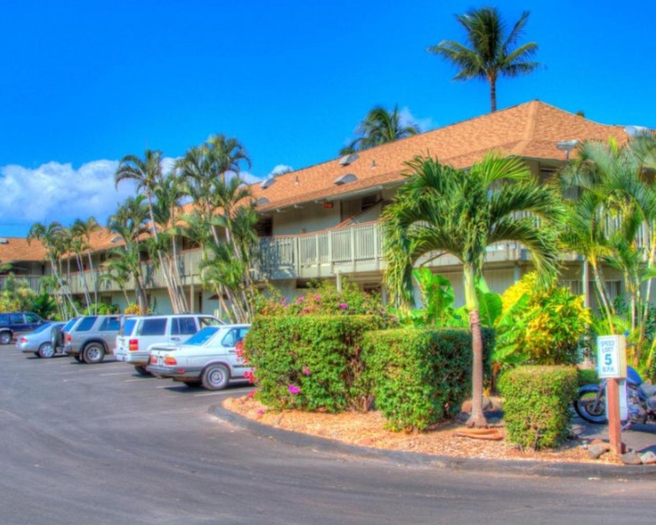 Kihei Bay Surf 130- Garden View Studio, Free Parking Exterior foto